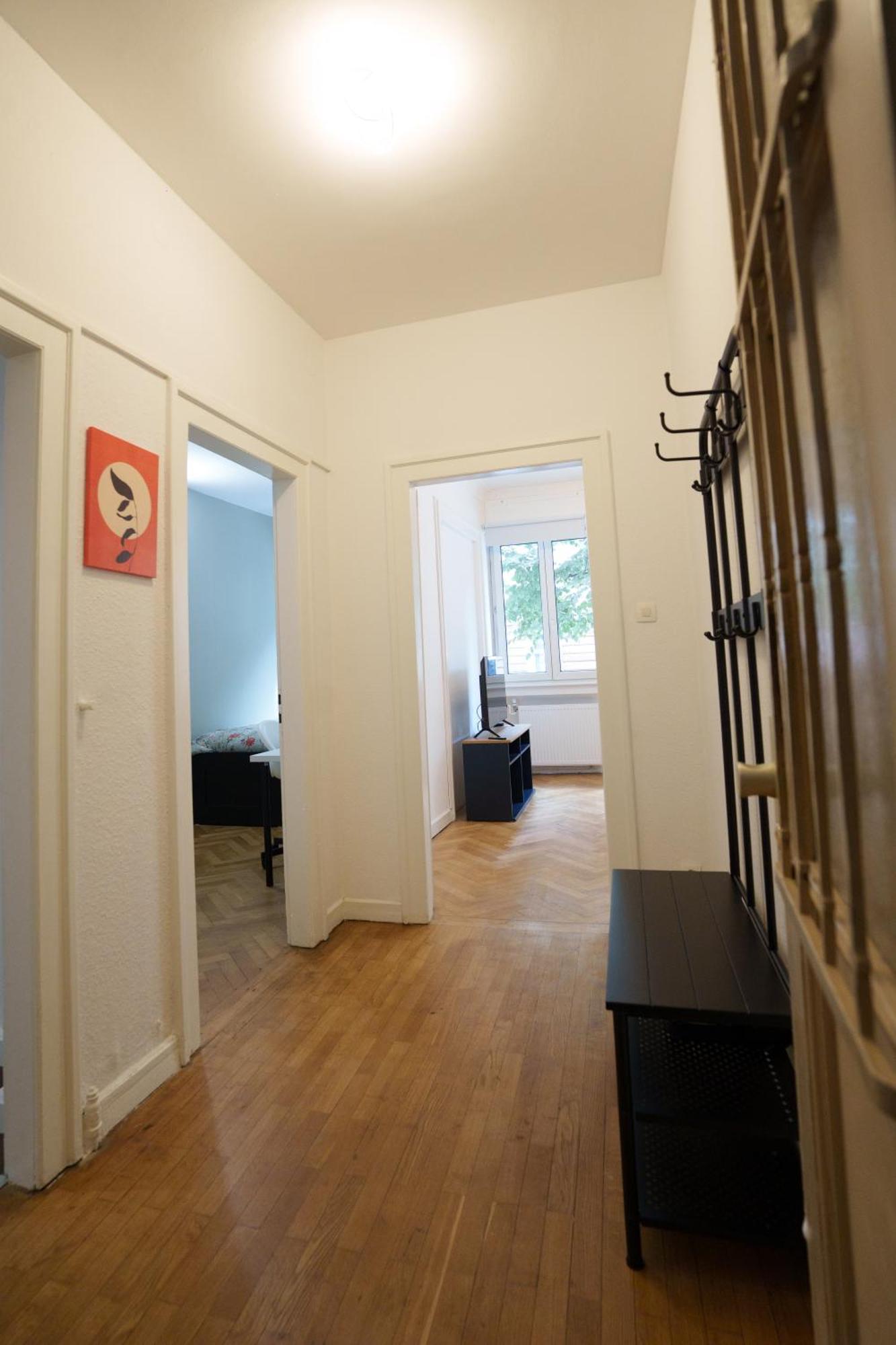 Grand Spacieux Appartement Strasbourg